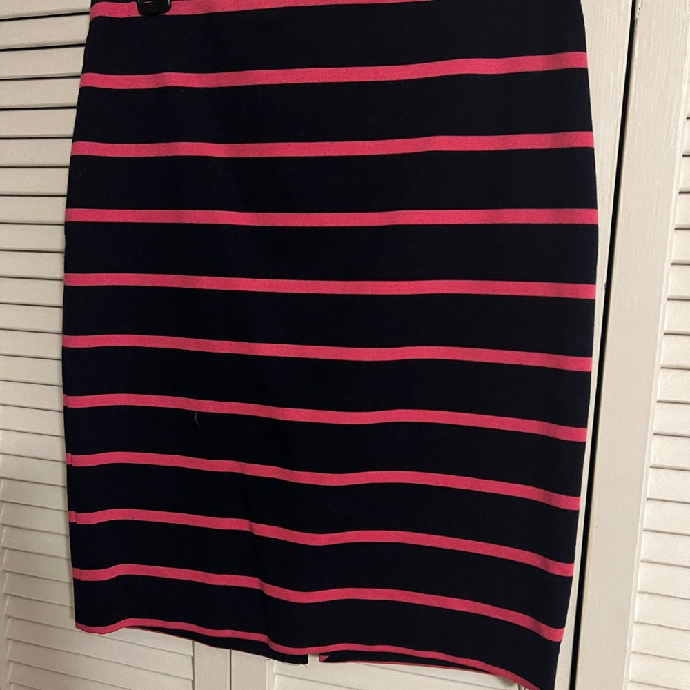 Striped Limited Skirt